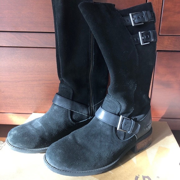 ugg everglayde ugg everglayde